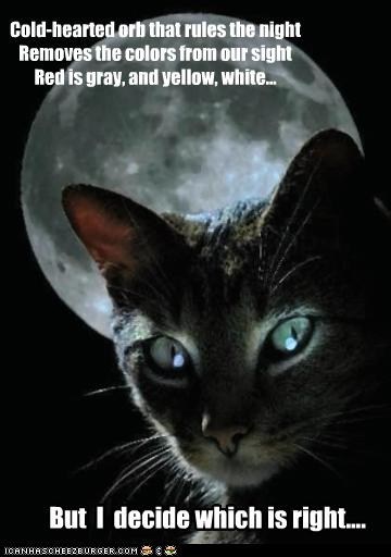 Cold hearted orb that rules the night – The Day Begins