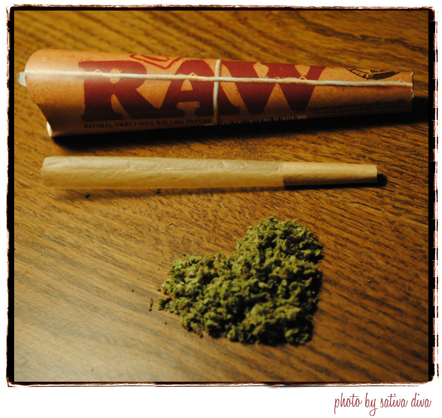 You must be on some hardcore drugs / I'm just.. The Blend