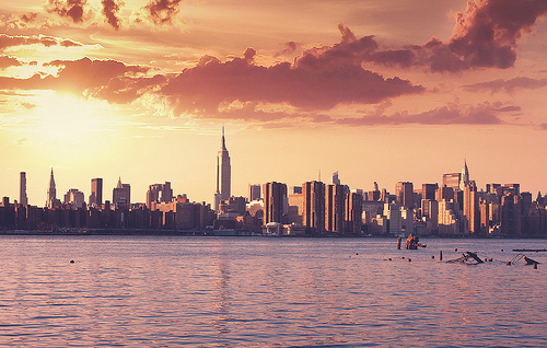 ���� ���� ������ �� ���� ������