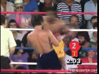 1371045517601-658.gif