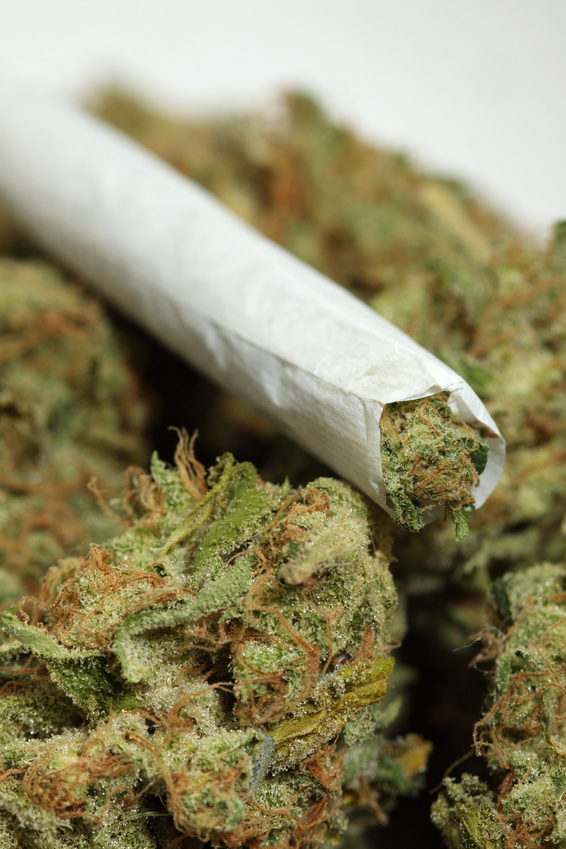 1372537960_7kqbsnkjSaKF9BXULtFh_marijuana.jpg