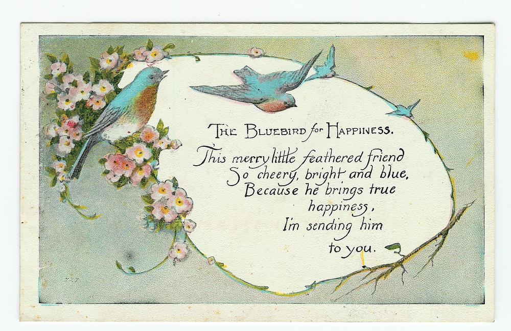 Bluebird Of Happiness Quotes Gallery Bluebird Of Happiness Quotes - Bianoti