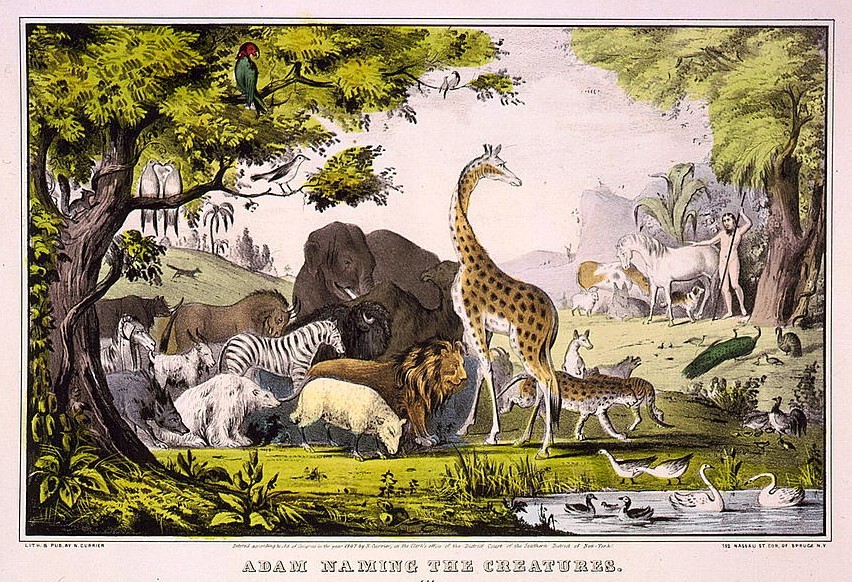 Who Was Animals In The Bible At Pedro Guevara Blog