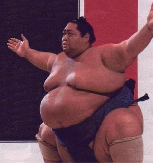 Sumo%20Wrestler%2527s%20Photos%20%252811%2529.jpg