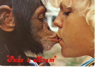 atJ11fIiQ8y13Fy2Rpzu_kissing_monkey.jpg