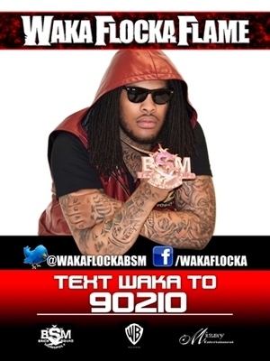 WakaFlockaFlame's photo