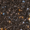 zachos's photo