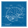 BLUEPRINT's photo