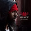 Mali Music's photo