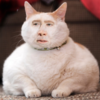 NicolasCage's photo