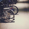 kittler's photo