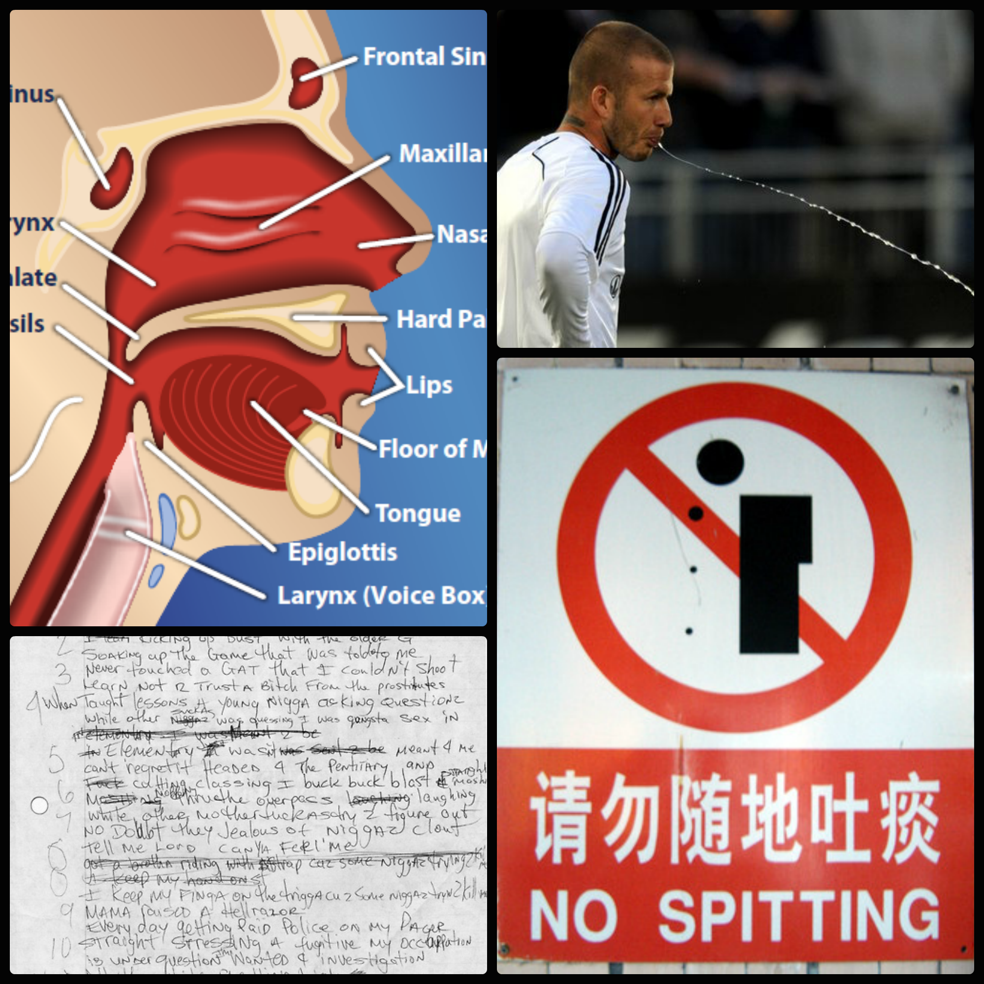 I’ve got a virus in my sinus That makes me spit out.. The Pillars