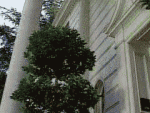 freshprincerix1.gif