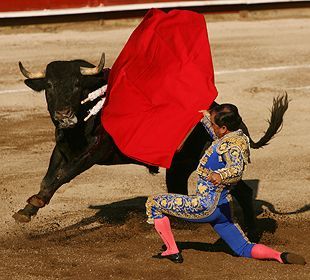 Penna Proiettore Mr. Wonderful Avocado - Penna Con Luce Per Disegnare - Foto 6