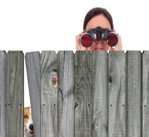 Nosey Neighbor Quotes. QuotesGram