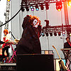 &copy; Dave Vann / RumBum.com