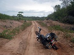 Stuck in the dirt.