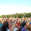 Deconstructing Bisco