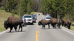 &copy; Gary France / GarysUSAtour.blogspot.com