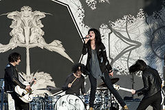 &copy; Steve Hopson / RumBum.com