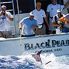 Wwa_is2_-_richard_gibson_-_artist_profile-2
