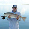 Nick_sassic_-_red_fish