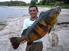 &copy; FishQuest!