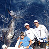 How You Can Help Conserve Billfish