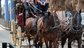 SIGN THE PETITION & TAKE ACTION to keep the Knott's Berry Farm Stagecoach Ride