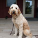 Photo of Spencer