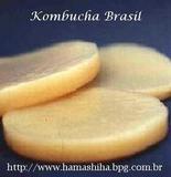KOMBUCHA: CD rom + (Cultura Viva do Kombucha como Brinde).