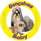 PUG, SHIH TZU ,LHASA APSO,PINSCHER