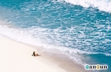 PROPIEDADES EN  CANCUN   Y LA RIVIERA MAYA
