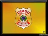 DETETIVE BRASIL E EXTERIOR  - FALCÃO - 24 HS