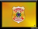 DETETIVE FALCÃO - ESPECIALIZADO PARTICULAR 24 Hs. A NÍVEL BRASIL 
