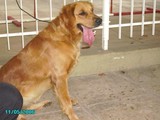 vitoria