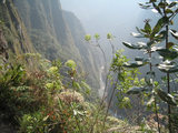 Vacaciones en Perú. Viajes a Cusco, Machu Picchu y el Camino del Inca. Tours y Excursiones a Medida