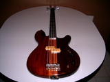 BAJO KRAMMER - Guanajuato - León