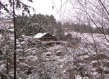 Copia_de_refugio_2__2__thumb