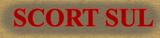 WWW.SCORTSUL.COM