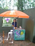 Alquiler de Colchones inflables, Carritos de Perros Caliente