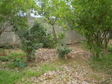 VENDO CASA CON TERRENO PRECIO NEGOCIABLE