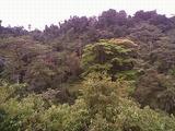 Land for Development in the Panama Canal Area