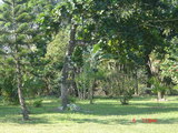 eco camping