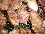 churrasco rio