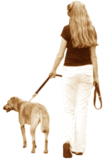 Passeio Amigo - Dog Walker - Passeio para Cães