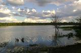 Vende-se uma fazenda de manejo florestal com uma agricultura irrigada.