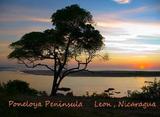 Poneloya project