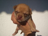 Varias_082_thumb