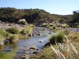 5 hectareas sobre el rio
